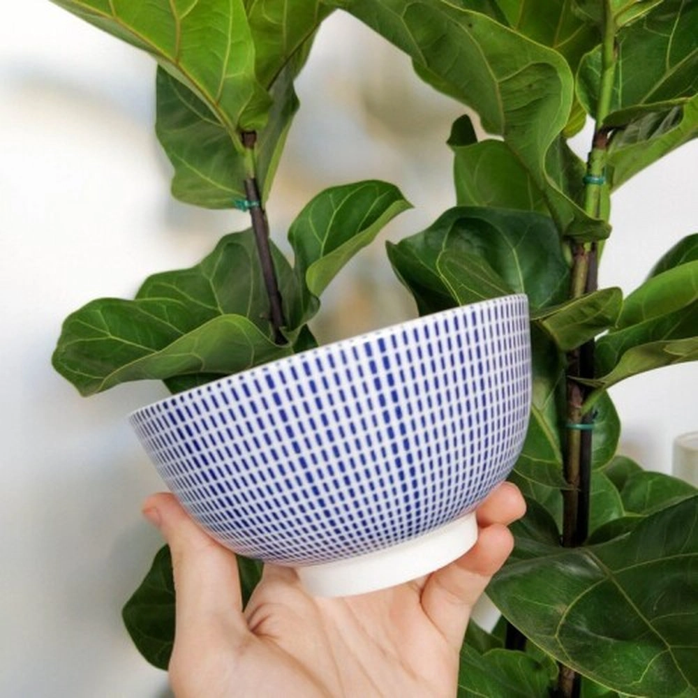 Bowl Lyor Atlantis 13,5 X 7 Cm Bowl Lyor Atlantis 13,5 X 7 Cm