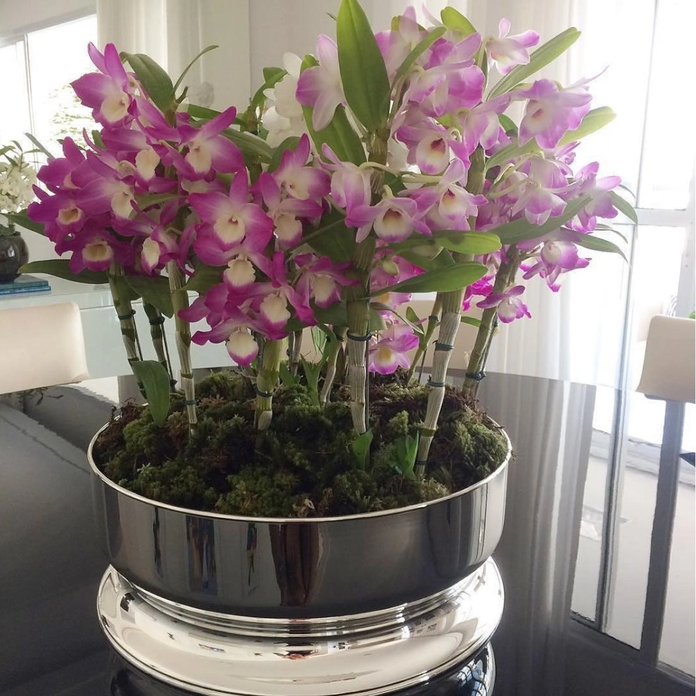 Centro de Mesa St. James Silhouette 24 X 10 Cm Centro de Mesa St. James Silhouette 24 X 10 Cm