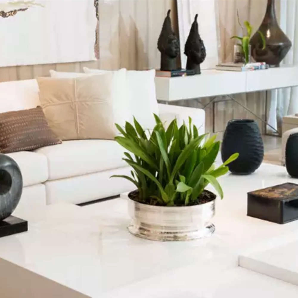 Centro de Mesa St James Spin Centro de Mesa St James Spin