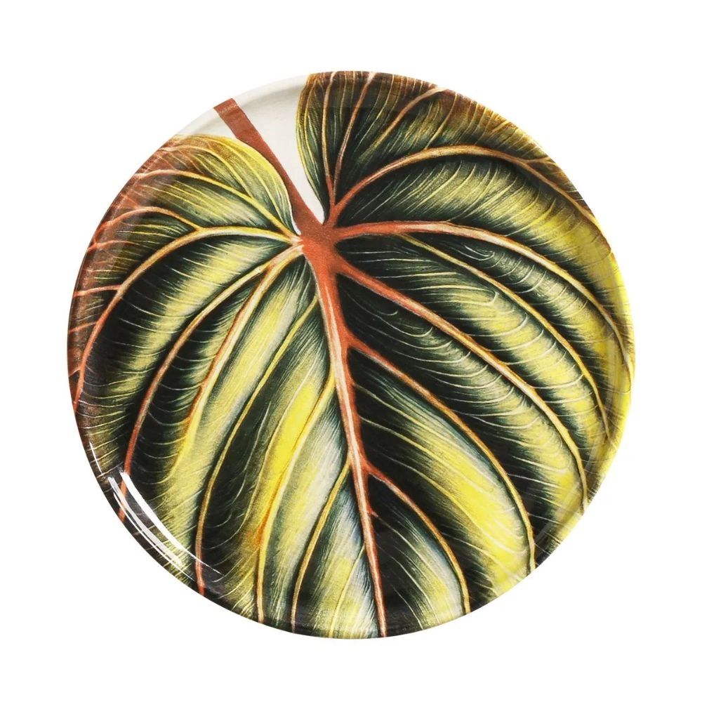 Conjunto Com 6 Pratos de Sobremesa Porto Brasil Bio Eden Conjunto Com 6 Pratos de Sobremesa Porto Brasil Bio Eden