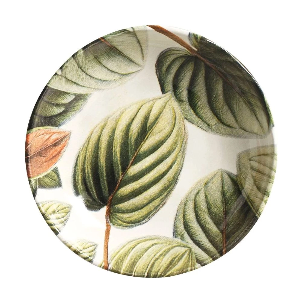 Conjunto Com 6 Pratos Fundo Porto Brasil Bio Eden Conjunto Com 6 Pratos Fundo Porto Brasil Bio Eden