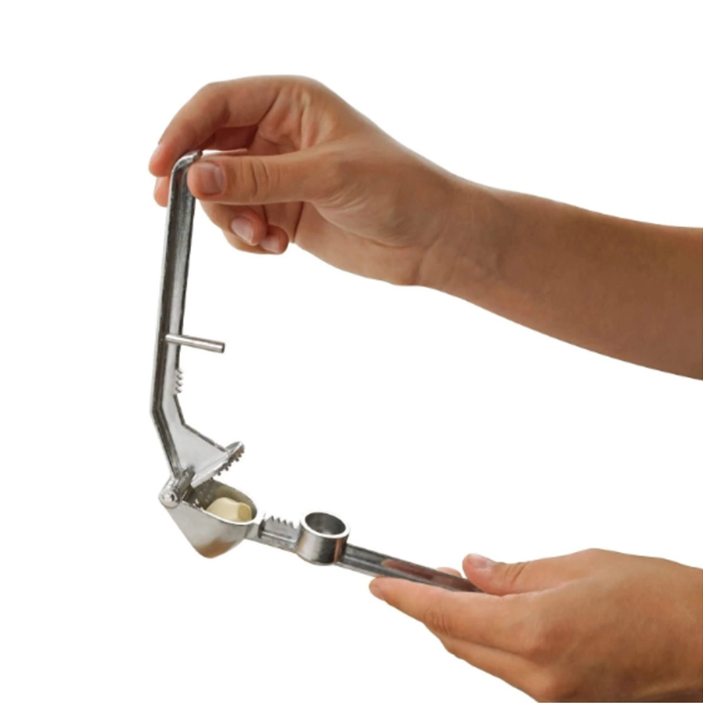 Espremedor de Alho Fackelmann 15 Cm