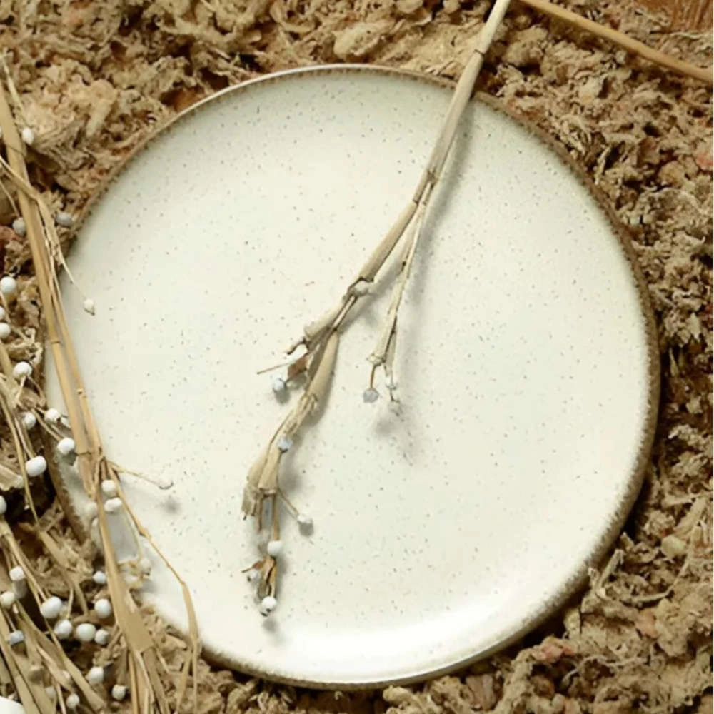 Jogo de Pratos Fundos Coup Vanilla Ceramica Alleanza 6 Pecas