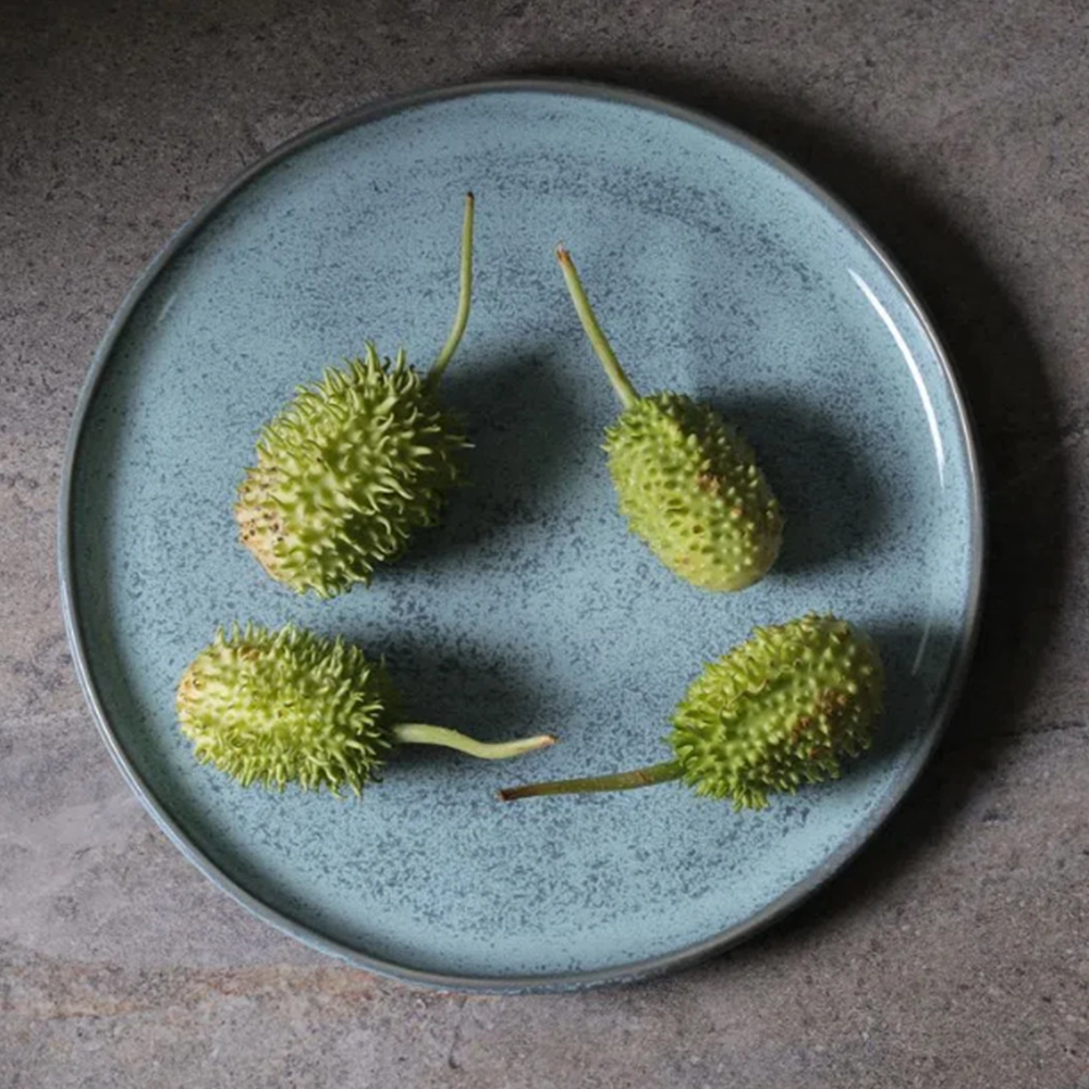 Jogo de Pratos Rasos Porto Brasil Bio Breeze 27,5 Cm - 6 Peças Jogo de Pratos Rasos Porto Brasil Bio Breeze 27,5 Cm - 6 Peças