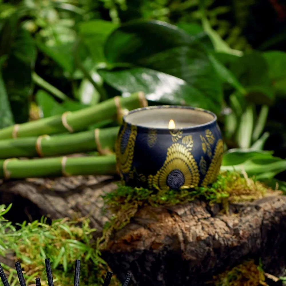 Mini Vela Moso Bamboo Voluspa Mini Vela Moso Bamboo Voluspa