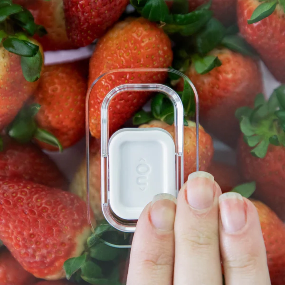 Organizador Ou Clear Fresh 2,8 Litros Organizador Ou Clear Fresh 2,8 Litros