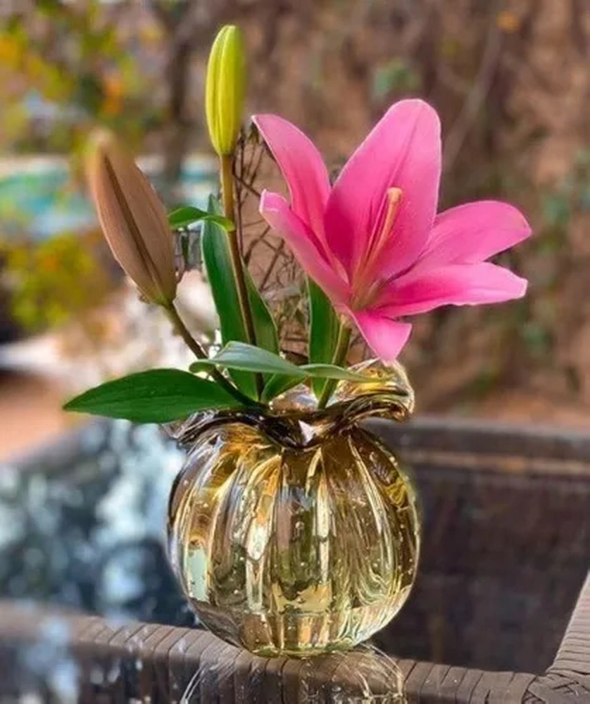 Vaso Torcello Cristais D´labone Ambar 17 X 17 Cm Vaso Torcello Cristais D´labone Ambar 17 X 17 Cm