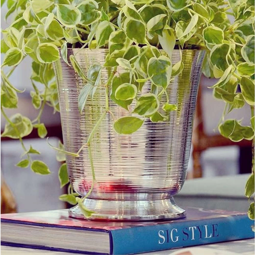 Balde Para Garrafa St James Spin