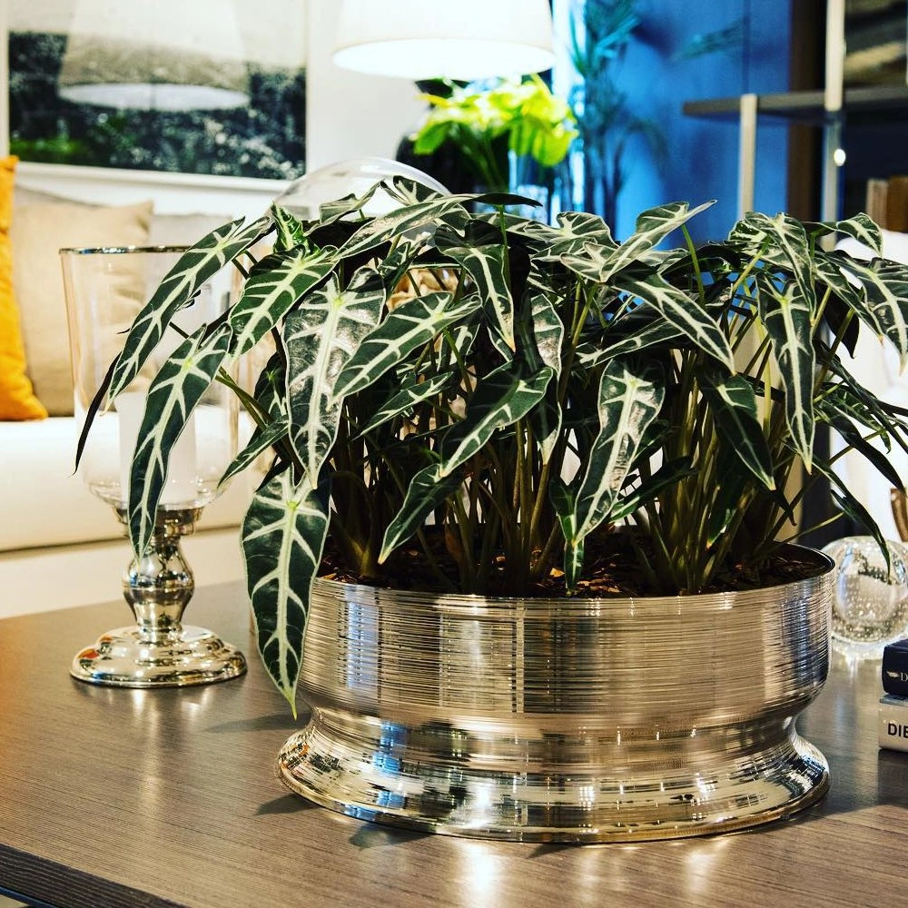 Centro de Mesa St. James Spin 24 X 10 Cm Centro de Mesa St. James Spin 24 X 10 Cm