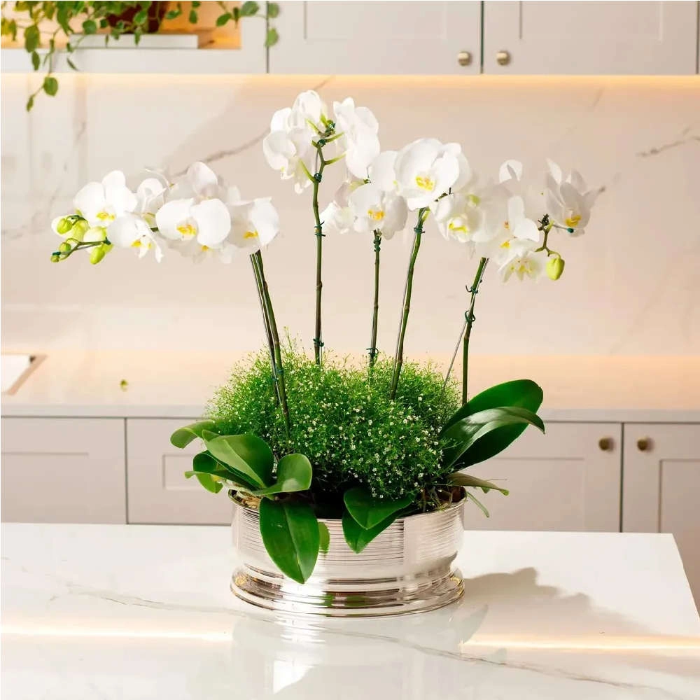 Mini Cachepo St James Spin